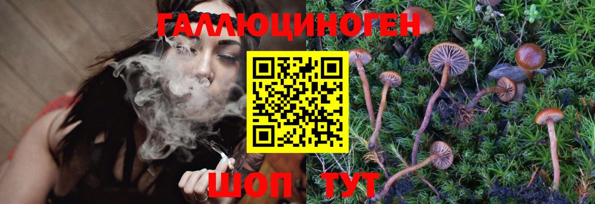 Галлюциногенные грибы Psilocybine cubensis  Вход с VPN  Псилоцибиновые грибы Cubensis  Куйбышев 