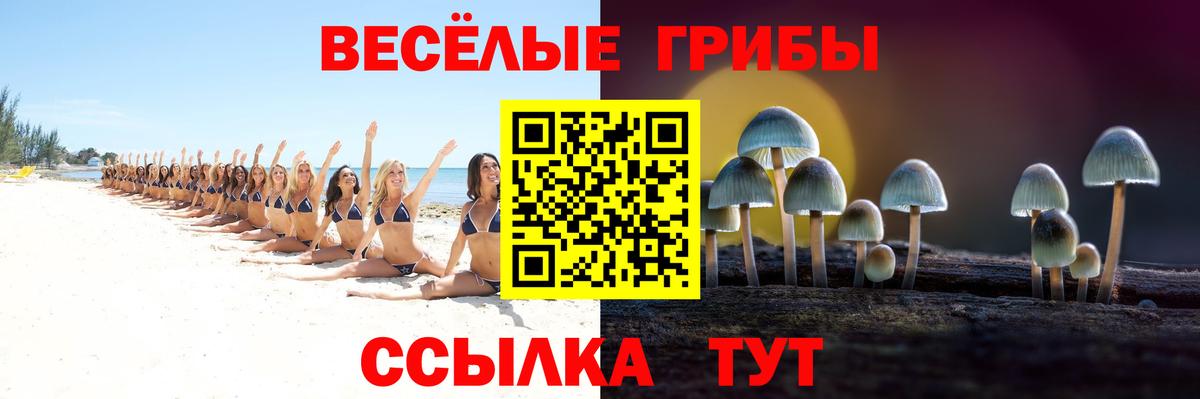 Галлюциногенные грибы Psilocybe Куйбышев
